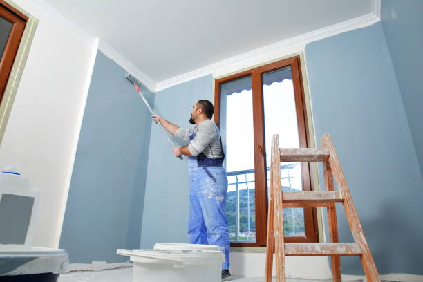 Best Black Mold Removal  in Avon, IN
