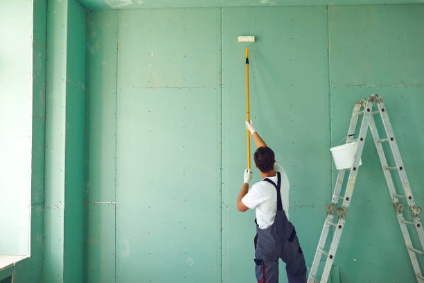 Professional Mold Removal in Avon, IN