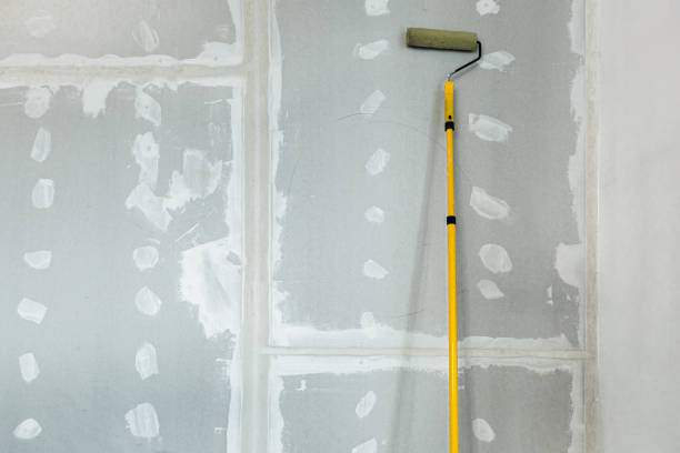  Avon, IN Mold Removal Pros