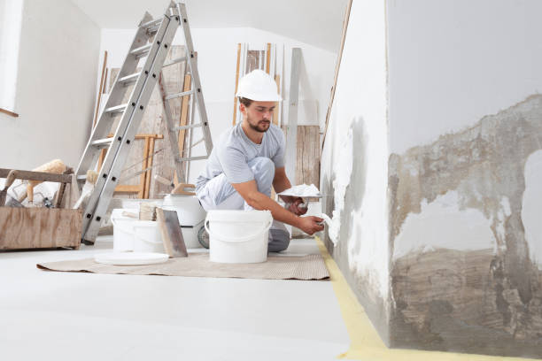 Best Mold Odor Removal Services  in Avon, IN