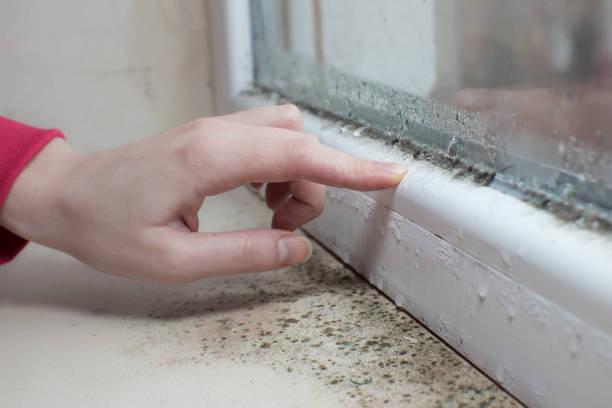 Best Air Quality Testing for Mold Spores  in Avon, IN