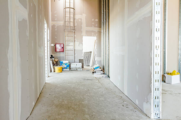 Best Forensic Mold Investigation  in Avon, IN